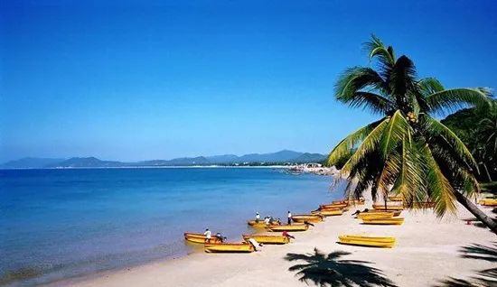 海南巷弄深处的秘密花园,探寻隐藏小店之谜