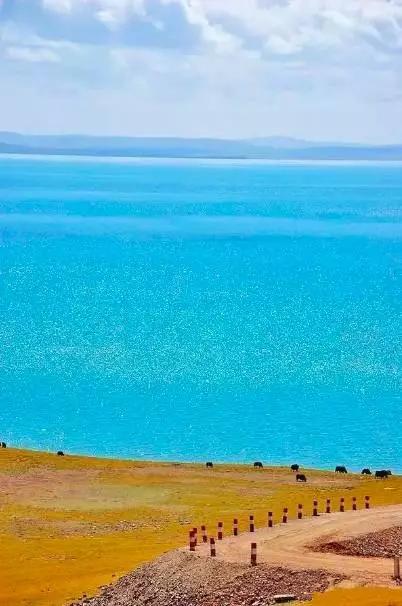 高原瑰宝,青海——自然与人文交融的璀璨之地