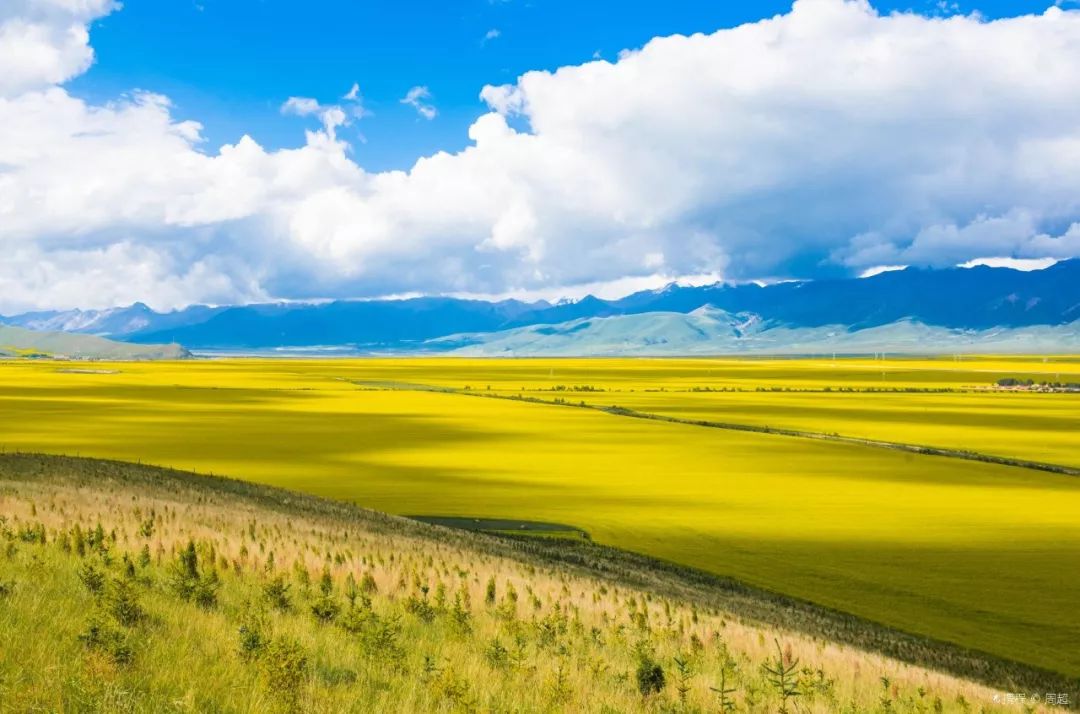 高原瑰宝，青海——自然与人文交融的璀璨之地