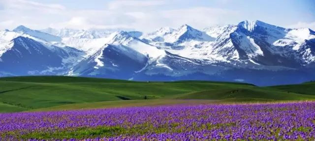 新疆,大自然的调色板——新疆之美🌸🏔️🍃